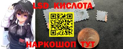 сатива Ставрополь