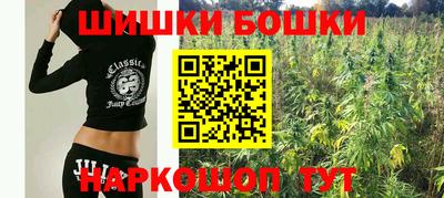 сатива Ставрополь