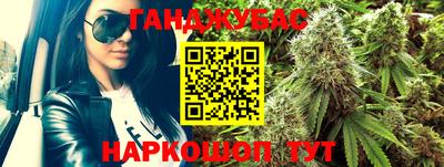 сатива Ставрополь