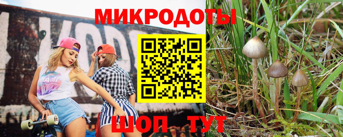 Галлюциногенные грибы Magic Shrooms  Вход с VPN  Ногинск 